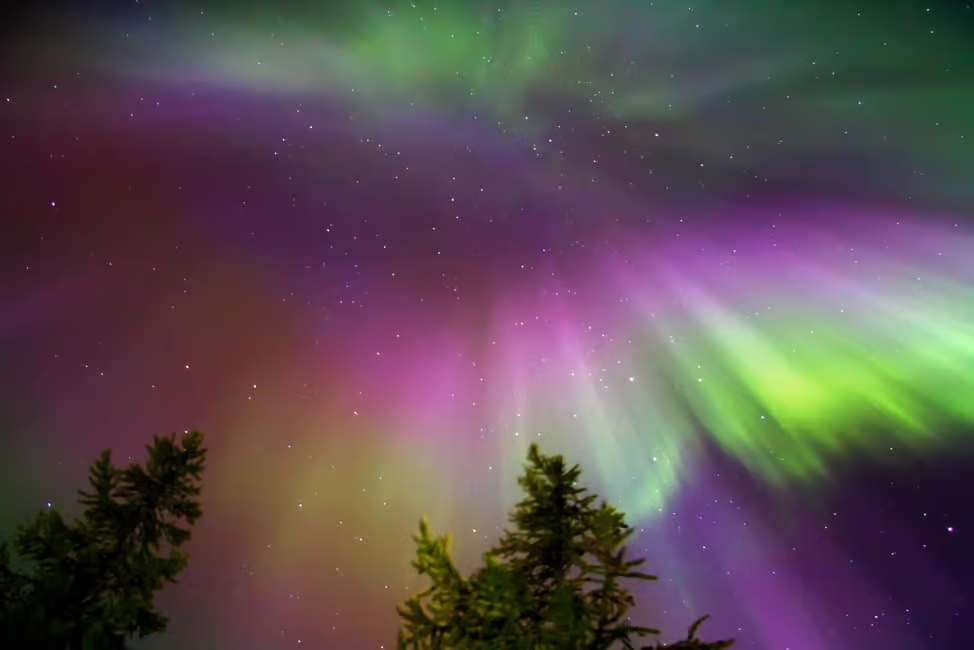 Rovaniemi: Private Reindeer & Northern Lights Tour